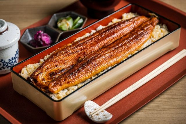 16. Seiryu Unagi Tsukishima Todai Akamon-mae Branch