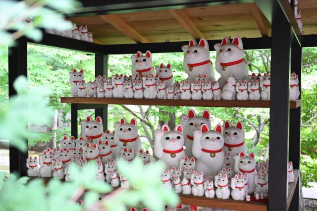 Tokyo’s Lucky Cat Temple: Gotokuji
