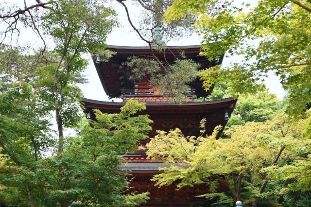 Tokyo’s Lucky Cat Temple: Gotokuji