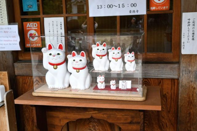 Tokyo’s Lucky Cat Temple: Gotokuji