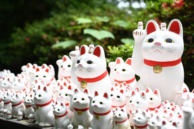 Tokyo’s Lucky Cat Temple: Gotokuji