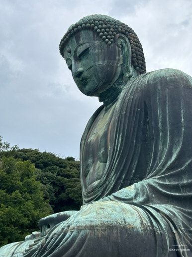 Encounter the Great Buddha at Kotoku-in Temple in Kamakura
