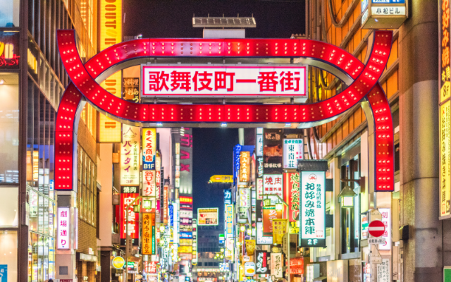 Shinjuku, a Complex City