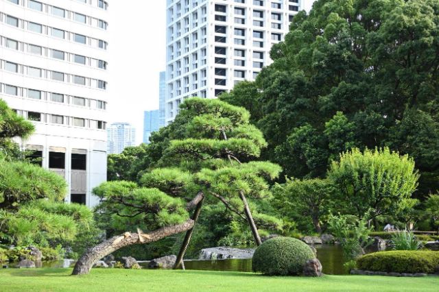 Tokyo’s Most Spectacular Japanese Garden is 400 Years Old and Free to Visit: Hotel New Otani Tokyo