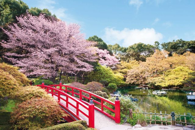 Tokyo’s Most Spectacular Japanese Garden is 400 Years Old and Free to Visit: Hotel New Otani Tokyo