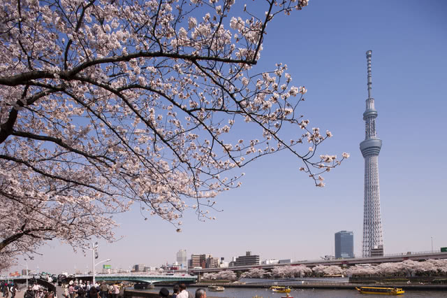 眾多美味餐廳！東京觀光一日遊＋美食之旅行程