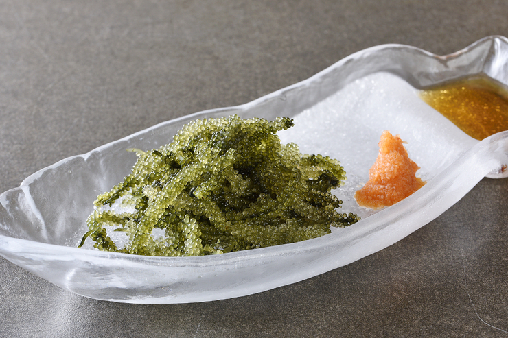 6. Shimanchu no SAKADOKO