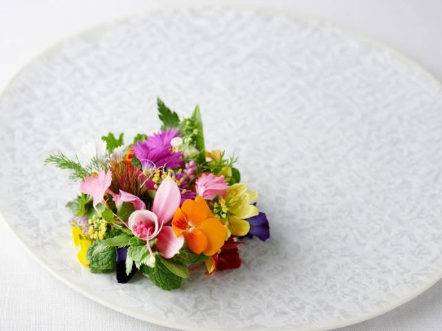 Michelin Guide Tokyo 2026 Announced! 18 New Starred Restaurants Emerge in Tokyo
