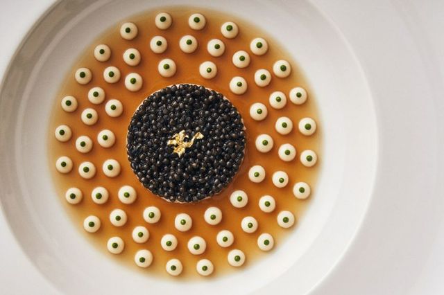 Michelin Guide Tokyo 2026 Announced! 18 New Starred Restaurants Emerge in Tokyo