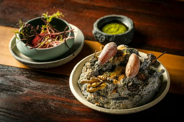 Michelin Guide Tokyo 2026 Announced! 18 New Starred Restaurants Emerge in Tokyo