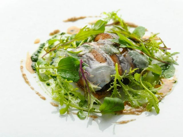Michelin Guide Tokyo 2026 Announced! 18 New Starred Restaurants Emerge in Tokyo
