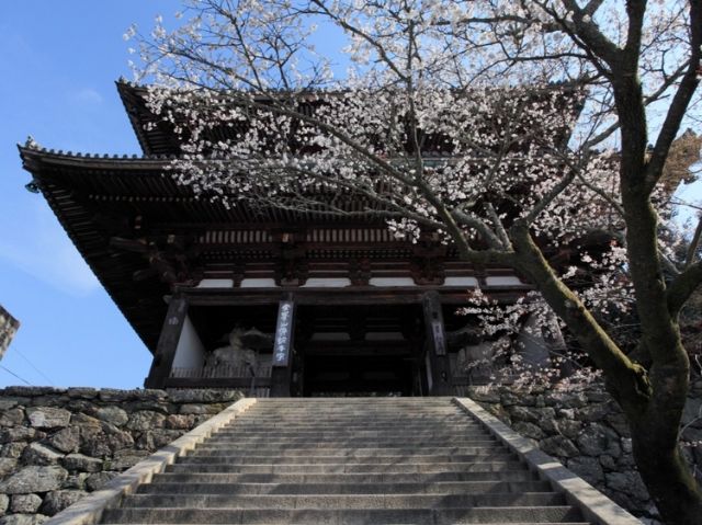 Nara Yoshino Pop-Up Featuring a Menu by Chef Kimio Nonaga of Nihonbashi Yukari