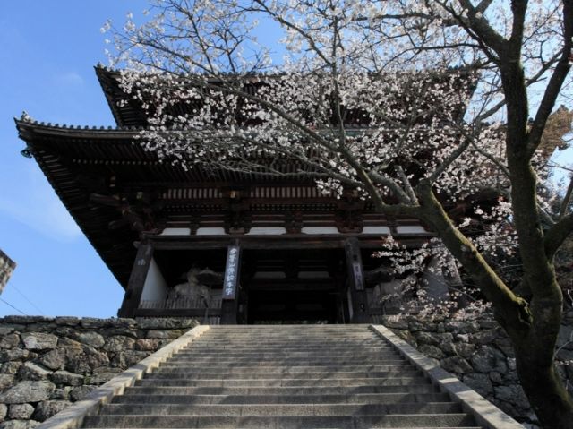 由【日本橋Yukari】野永喜三夫主廚設計菜單,盡享奈良吉野町風味的「奈良吉野山」美食快閃活動登場