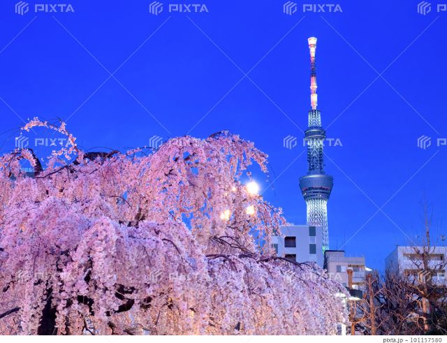 晴空塔周边（隅田公园）