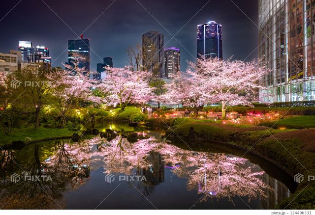 [2026年度]體驗東京的夜櫻 | 名所與周邊餐廳介紹