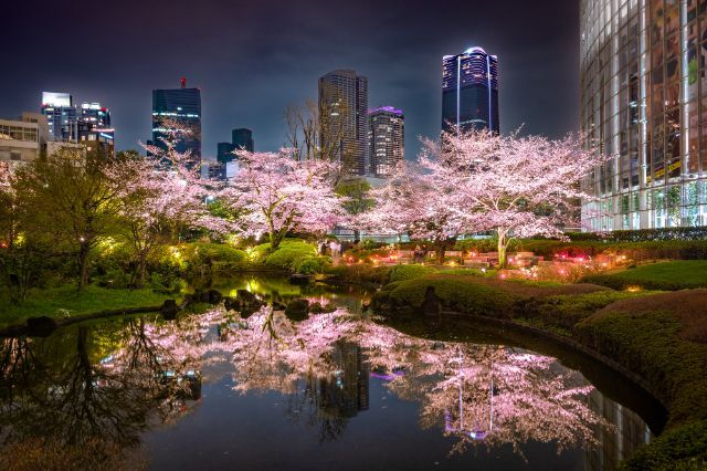 六本木（毛利庭园、榉树坡道、中城）