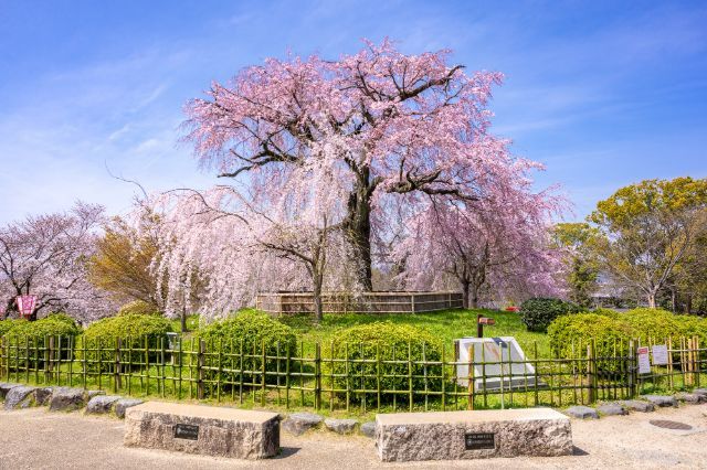 Maruyama Park