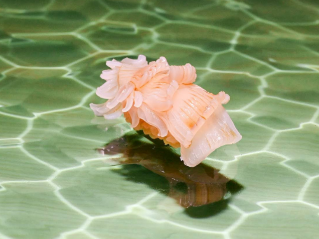 京橋「THE SAKAI Tokyo」：藝術融合的お任せ壽司體驗