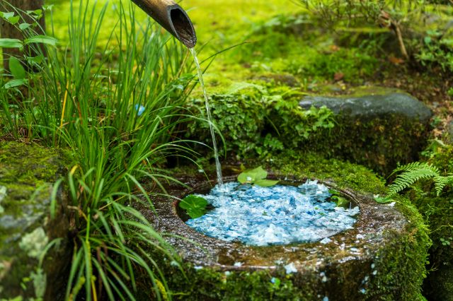 [2026年度]雨天更顯美麗。京都繡球花名所與周邊美食指南