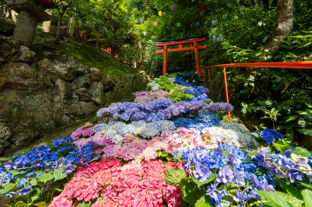 柳谷觀音 楊谷寺