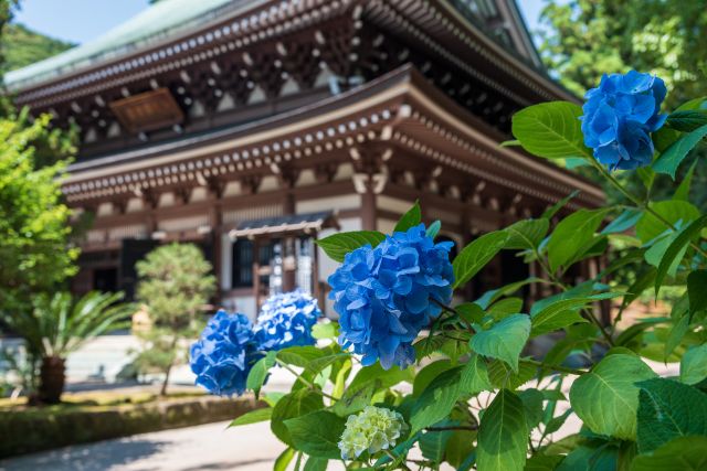 2. 엔가쿠지 (円覚寺)