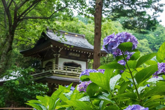 3. 조치지 (浄智寺)