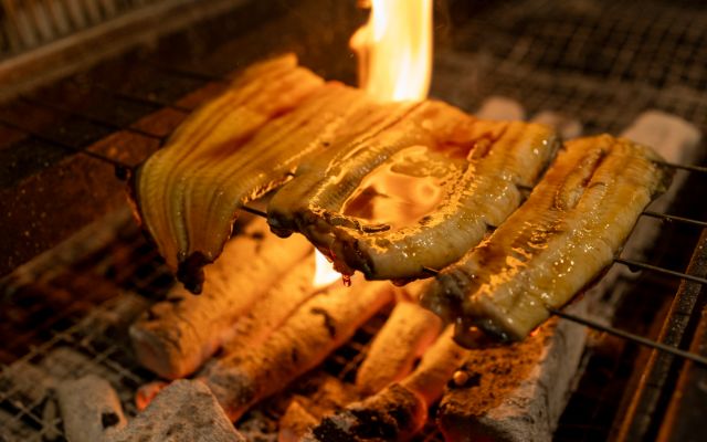 도쿄 긴시초에 숨겨진 장어 전문점: Unagi House 시노야