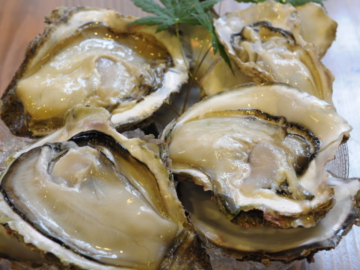 9.代代木上原的海鮮居酒屋 鰾(代代木上原)