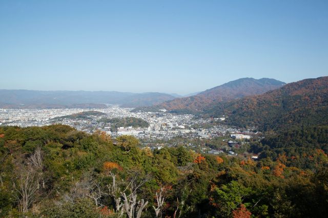 [Kansai] Encounter the Ultimate Night Views and Scenic Spots! Top 5 Recommended Observation Decks in Osaka & Kyoto and Nearby Dinners