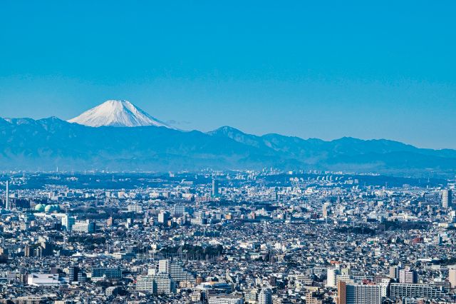 [Tokyo] Encounter the Ultimate Night Views! Top 6 Recommended Observation Decks & Nearby Dinners
