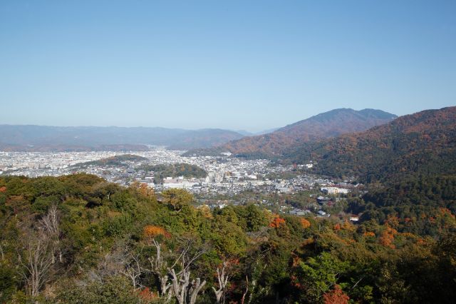 [간사이 관광] 최고의 야경과 절경을 만나다! 오사카·교토 추천 전망대 5곳 & 주변 디너