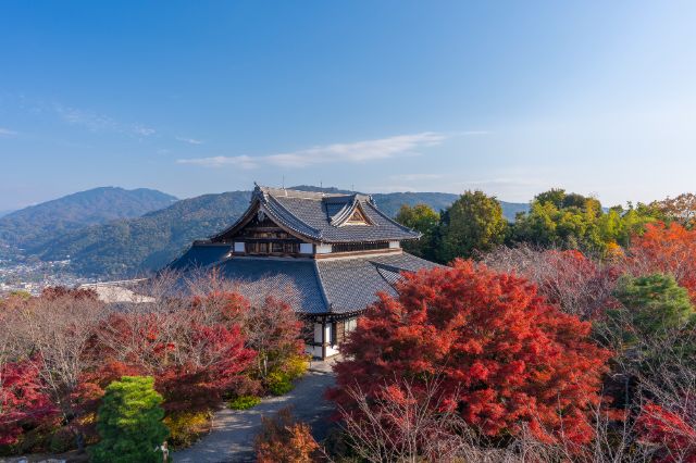 [오사카·교토] 최고의 야경과 절경을 만나다! 추천 전망대 5곳 & 주변 디너