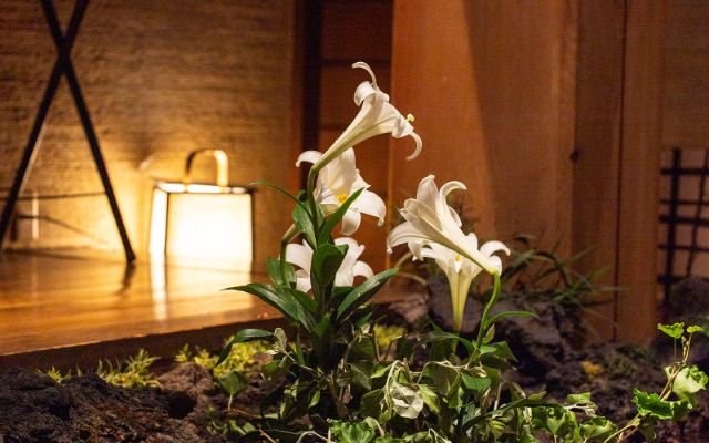 鬧市之中，宛如老舖旅館的美食盛宴、六本木的隱密名店「御曹司Kiyoyasu邸」