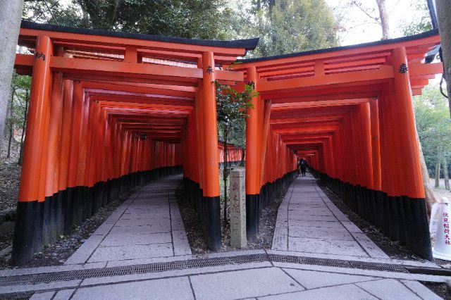 京都三天兩夜行程懶人包|交通、必吃美食、必訪景點