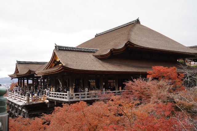 京都三天兩夜行程懶人包|交通、必吃美食、必訪景點