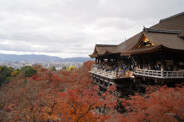京都三天兩夜行程懶人包|交通、必吃美食、必訪景點