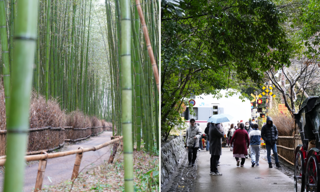 京都三天兩夜行程懶人包|交通、必吃美食、必訪景點