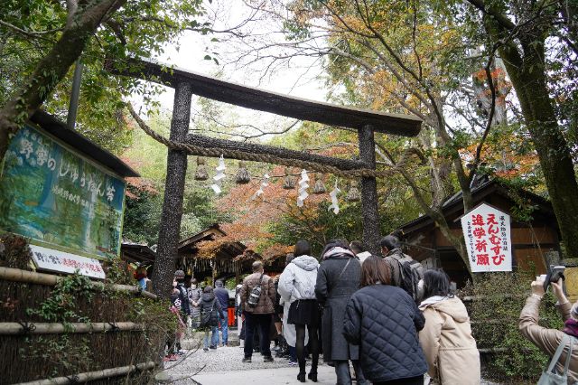 京都三天兩夜行程懶人包|交通、必吃美食、必訪景點