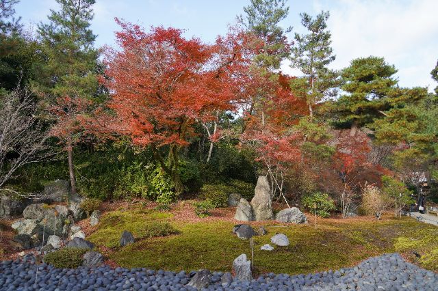 京都三天兩夜行程懶人包|交通、必吃美食、必訪景點