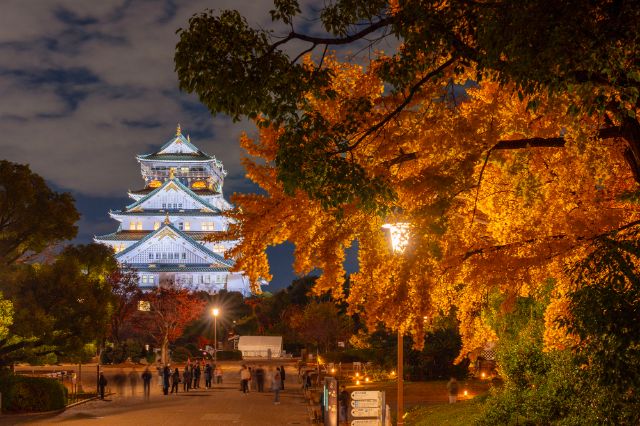 Golden Kyoto and Osaka in Autumn! Top 5 Ginkgo tree-lined Spots and Recommended Gourmet