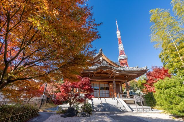Shiba Park & Zojoji Temple