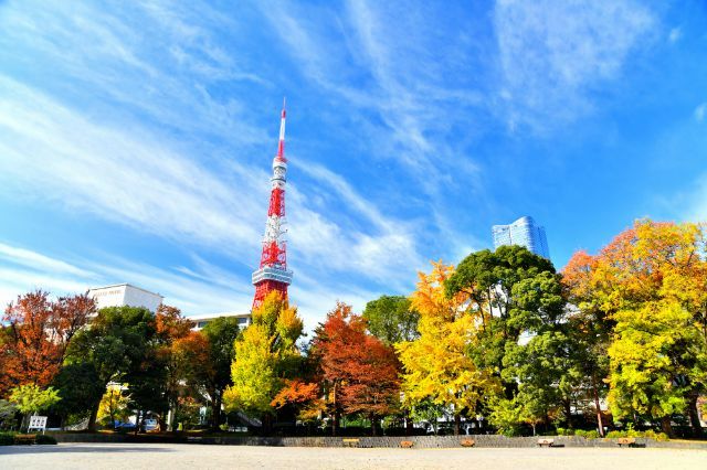 A Must-Visit During Tokyo's Autumn Trip! Top 5 Autumn Foliage Spots and Exquisite Dinners Nearby