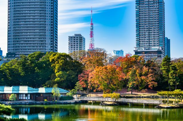 A Must-Visit During Tokyo's Autumn Trip! Top 5 Autumn Foliage Spots and Exquisite Dinners Nearby