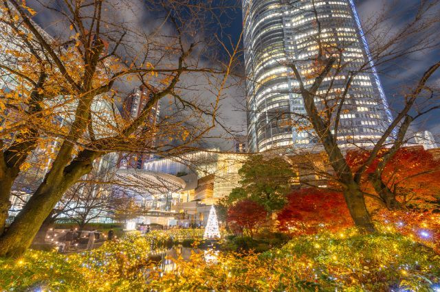 A Must-Visit During Tokyo's Autumn Trip! Top 5 Autumn Foliage Spots and Exquisite Dinners Nearby
