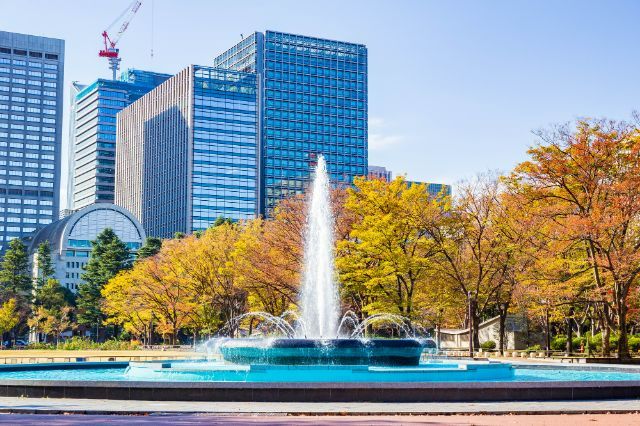 A Must-Visit During Tokyo's Autumn Trip! Top 5 Autumn Foliage Spots and Exquisite Dinners Nearby