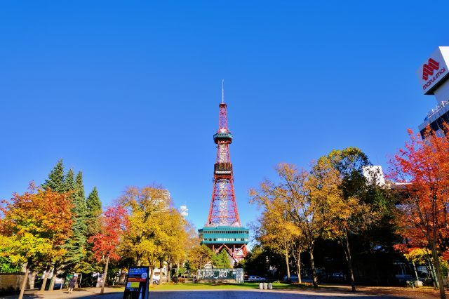 大通公园