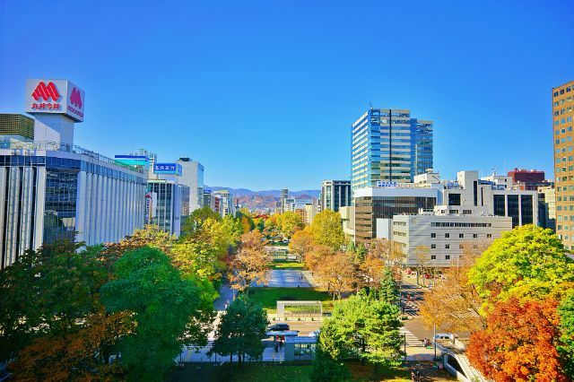 [2026年]北海道的秋季旅行！札幌・小樽的红叶名所5选＆绝品晚餐日回模型课程
