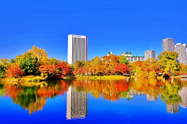 中岛公园