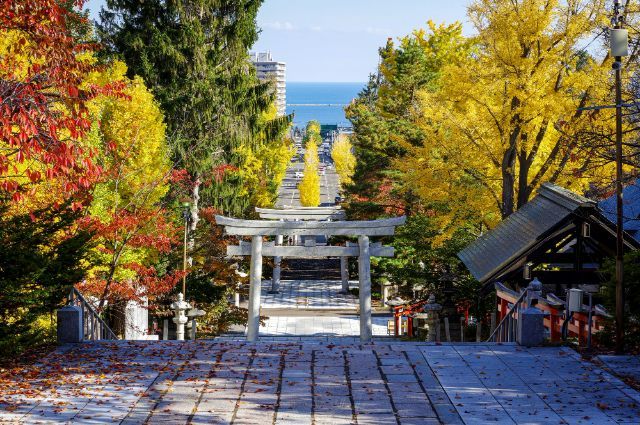 [2026年]北海道的秋季旅行！札幌・小樽的红叶名所5选＆绝品晚餐日回模型课程