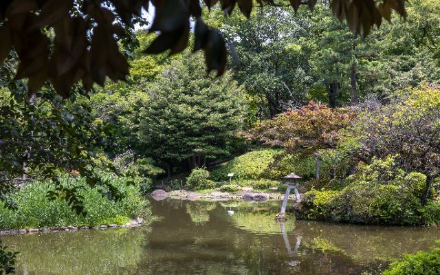 東京夏日避暑指南：如何體驗舒適的夏日行程